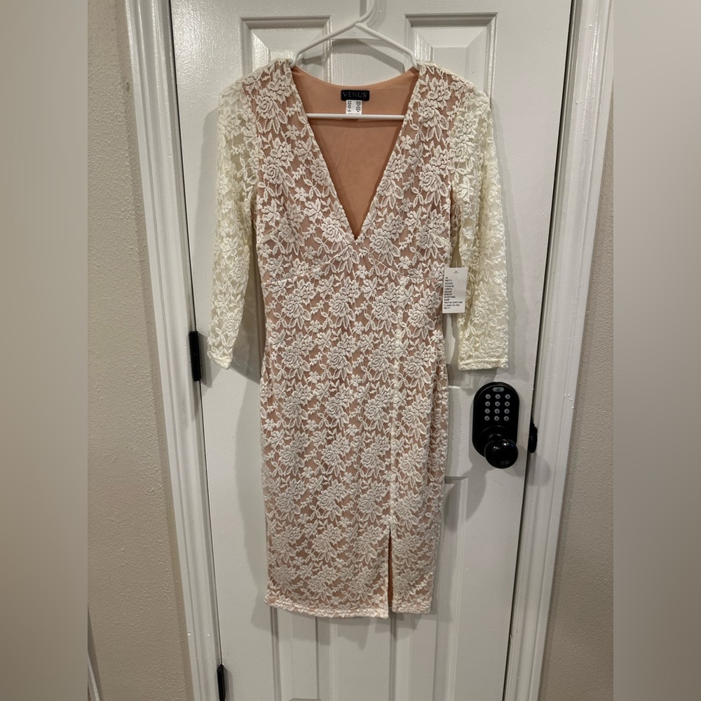 Venus Lace & Nude Dress